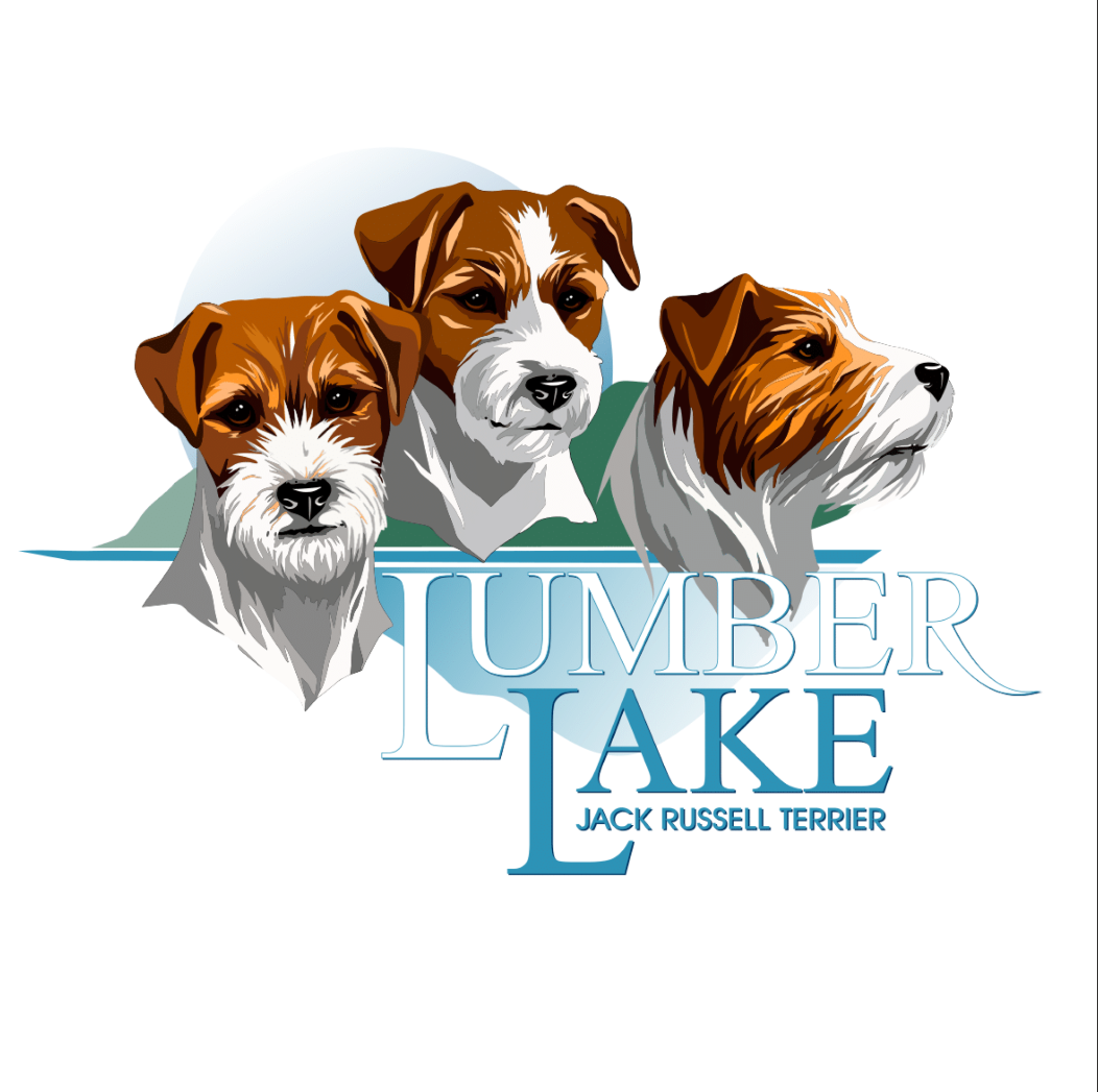 lumberlake logo