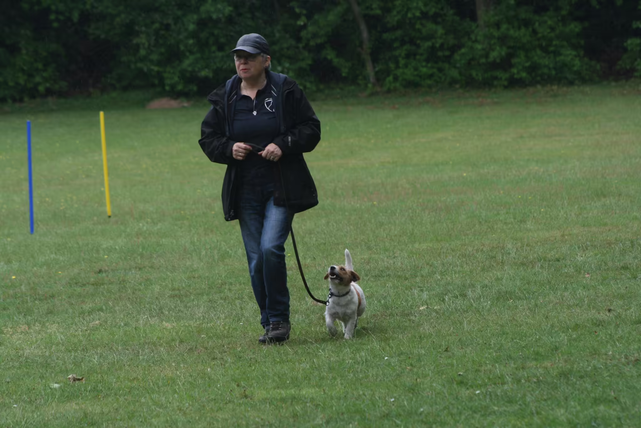 Jack Russell Terriër van Lumberlake kennel
